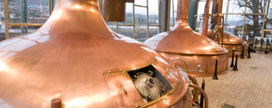 Picture of beautiful beer brewing caskets
